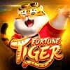 jogo demo fortune tiger ícone